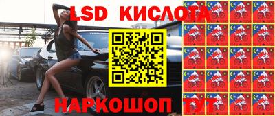 ГАЛЛЮЦИНОГЕННЫЕ ГРИБЫ Вязники