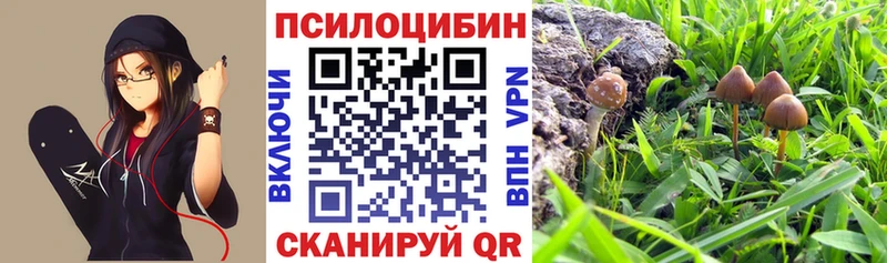 Галлюциногенные грибы MAGIC MUSHROOMS  hydra   Белгород  наркошоп 