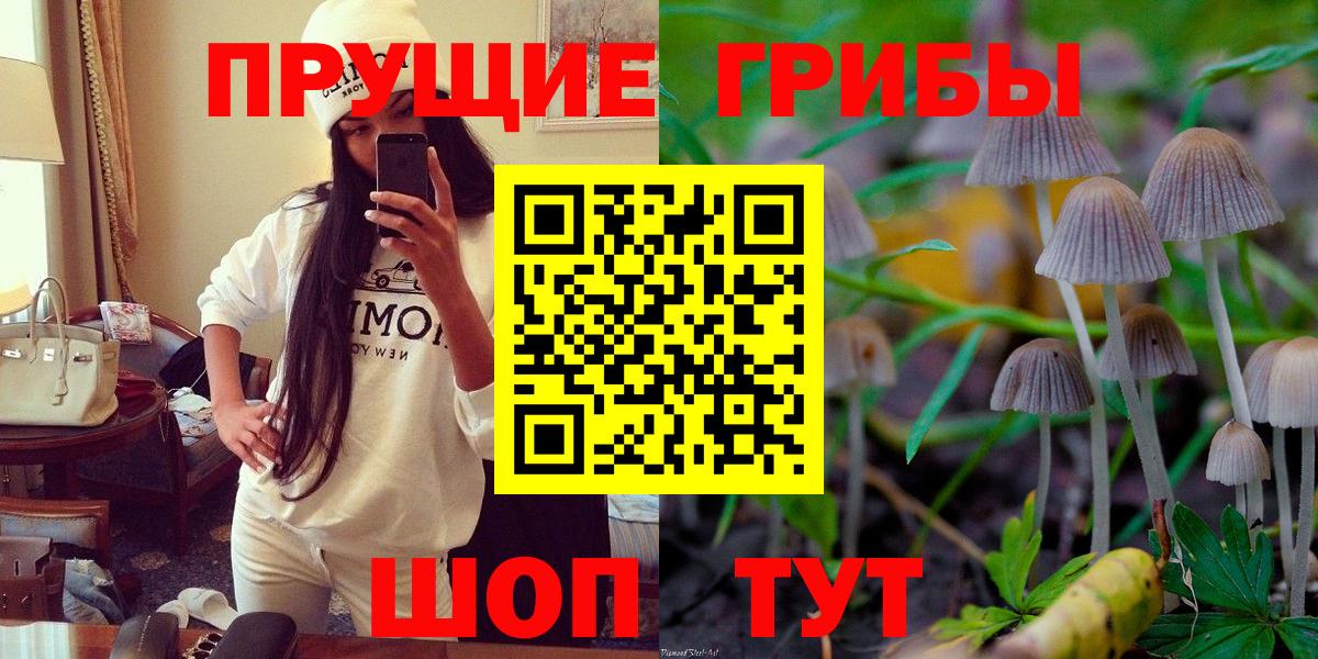 Галлюциногенные грибы прущие грибы  Вход с VPN  Белгород  Псилоцибиновые грибы Cubensis 