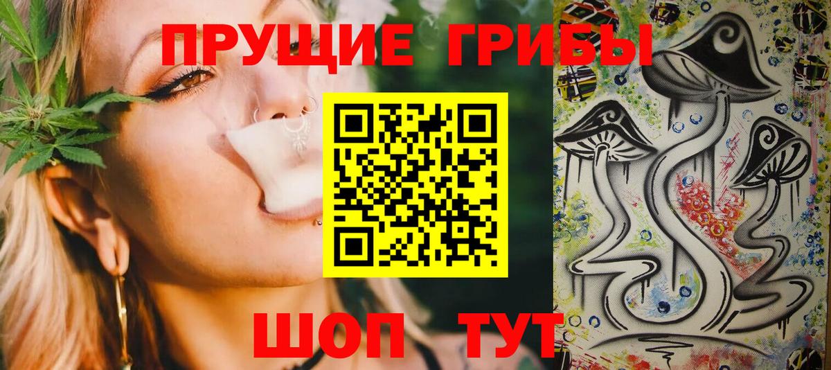 Галлюциногенные грибы Psilocybine cubensis Белгород